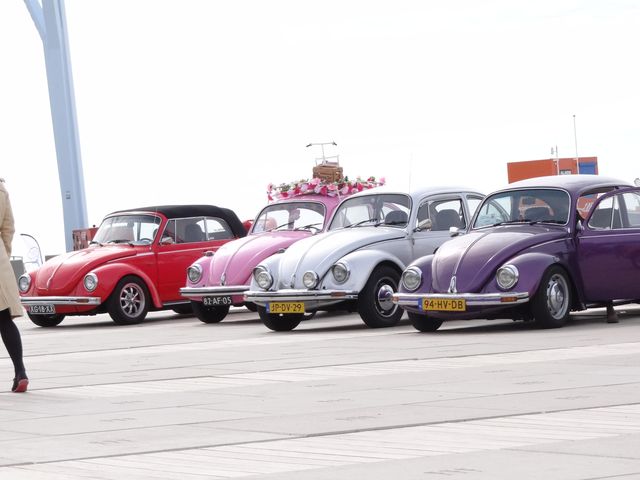 Aircooled_13-008.jpg