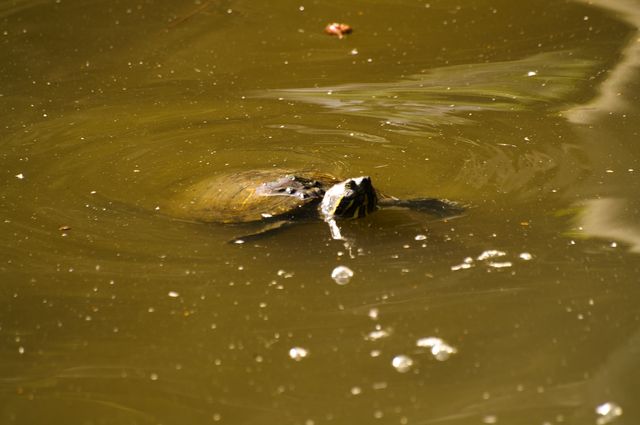 Blijdorp-086.jpg